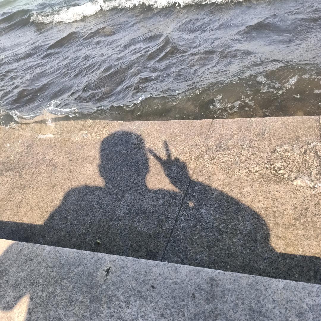 齐风~~~薄荷
