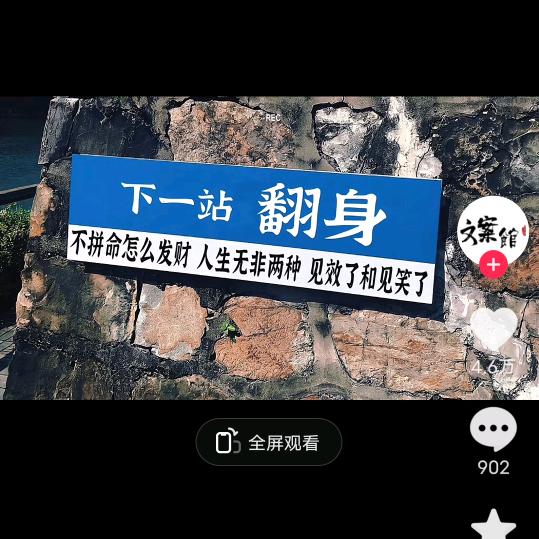 年少不知人生味
