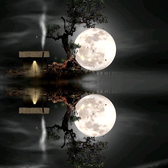 随缘🪷