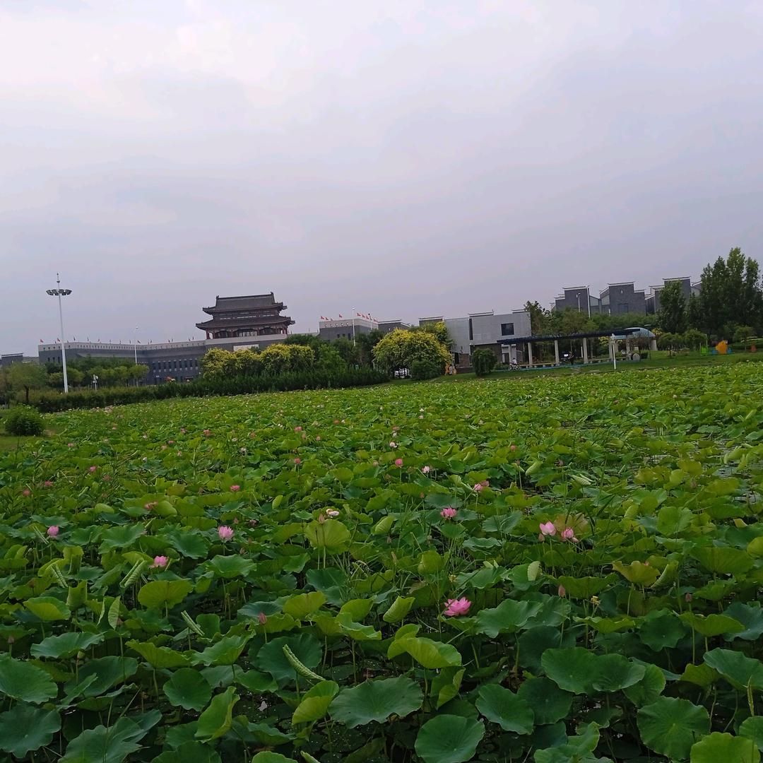 大姐