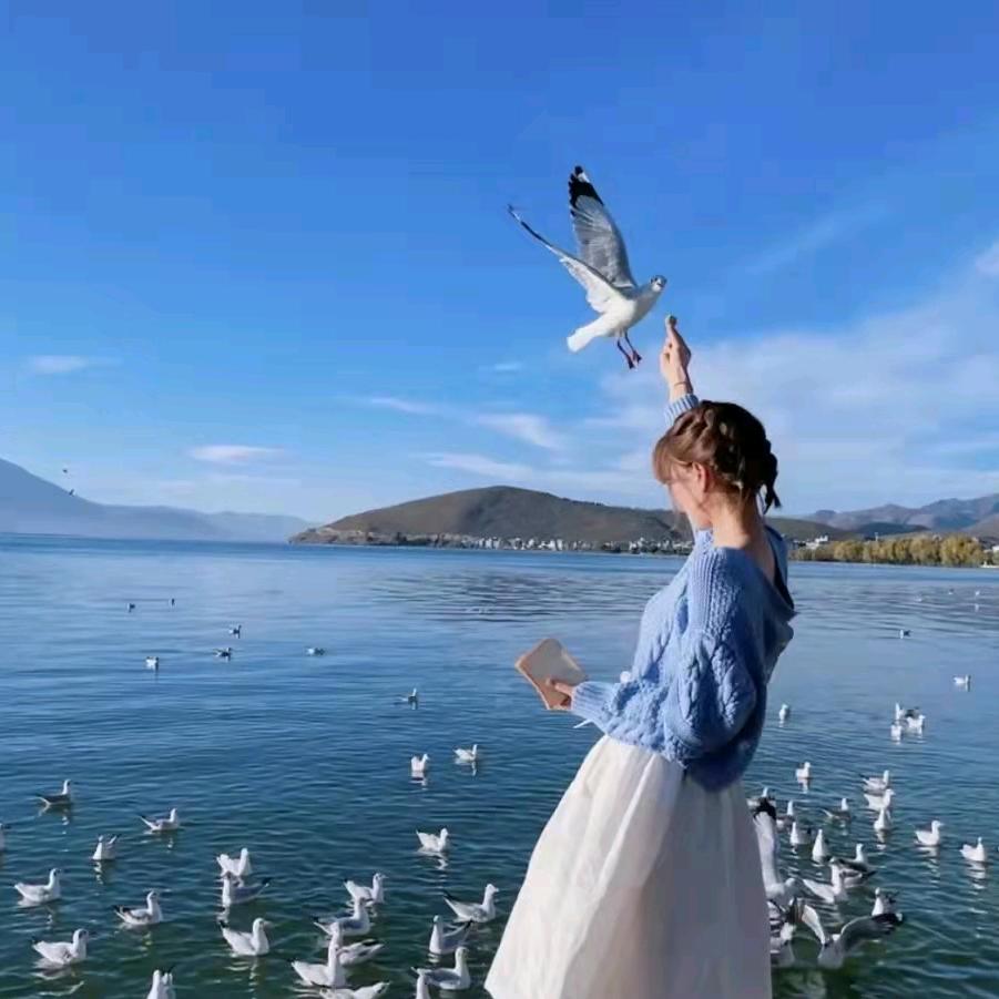 霞爱说