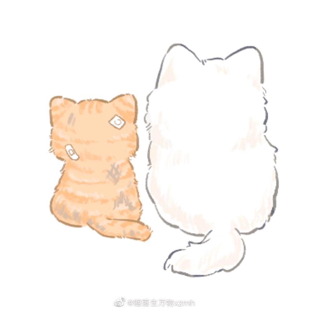 时光