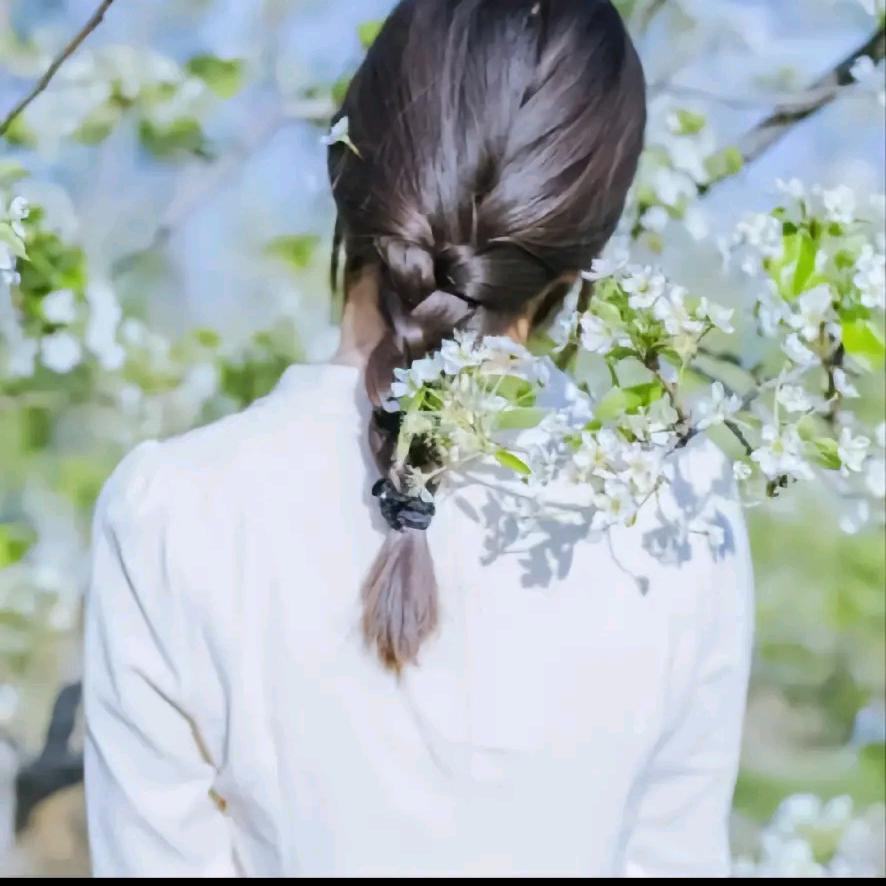 好运锦鲤.