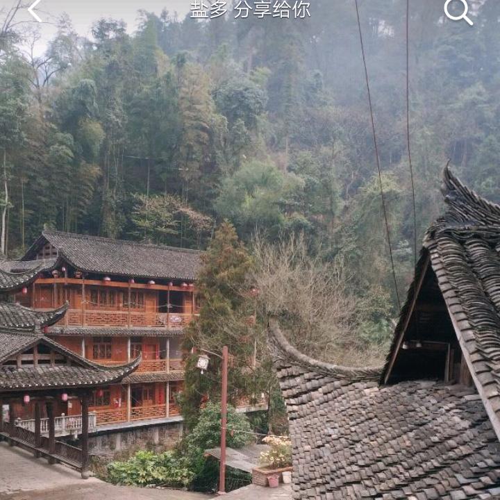 宝哥