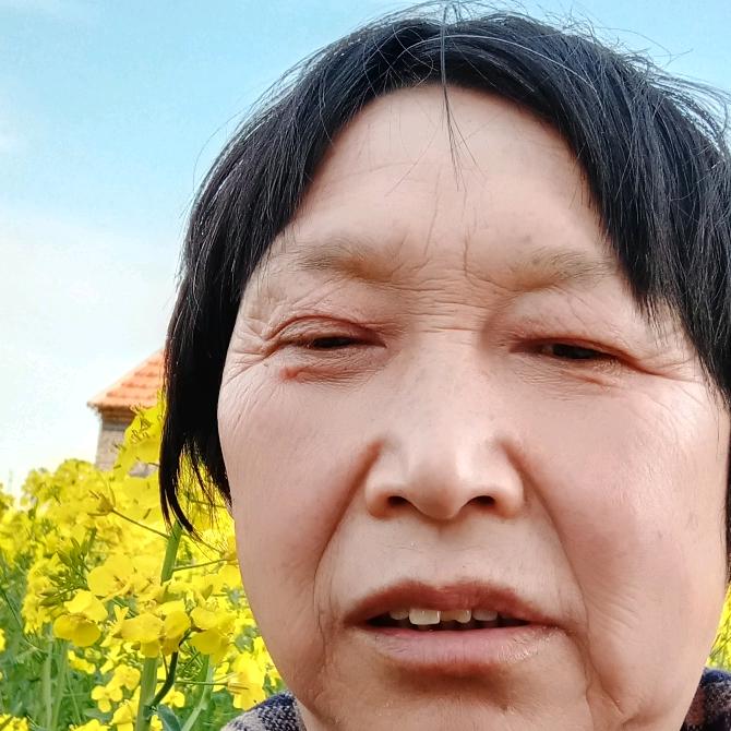 银色杏叶
