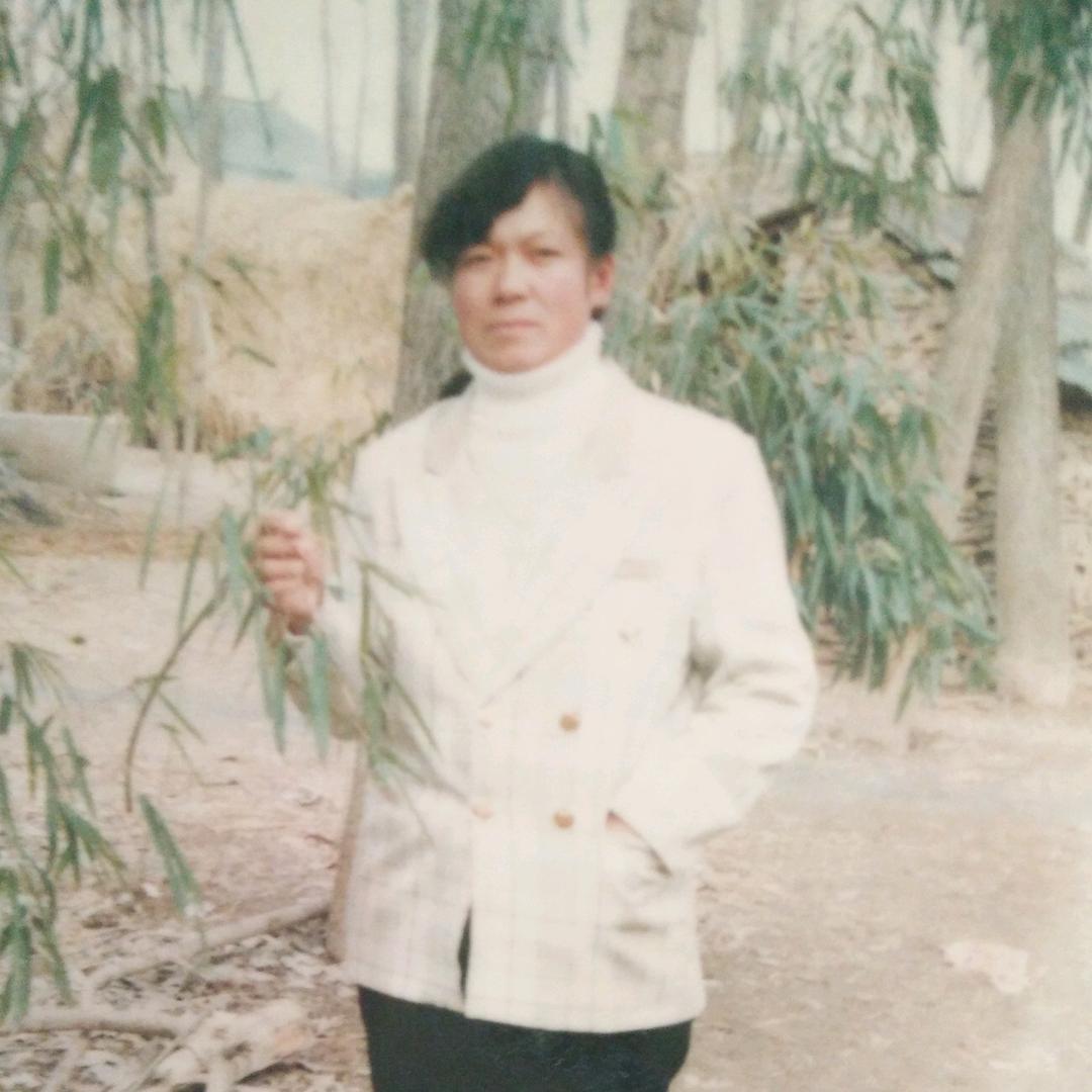 《梅梅》