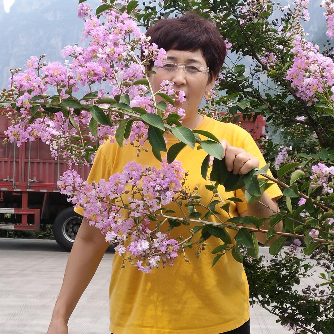 暖暖奶奶
