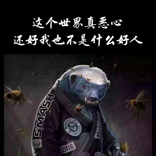 消逝的独狼