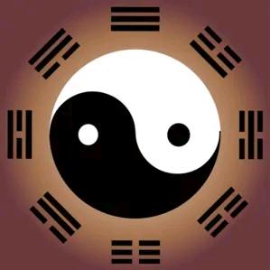 ◎道天◎
