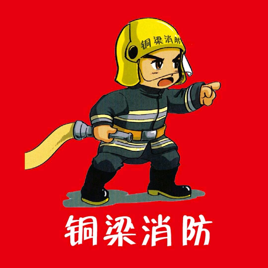 重庆市铜梁区消防救援支队