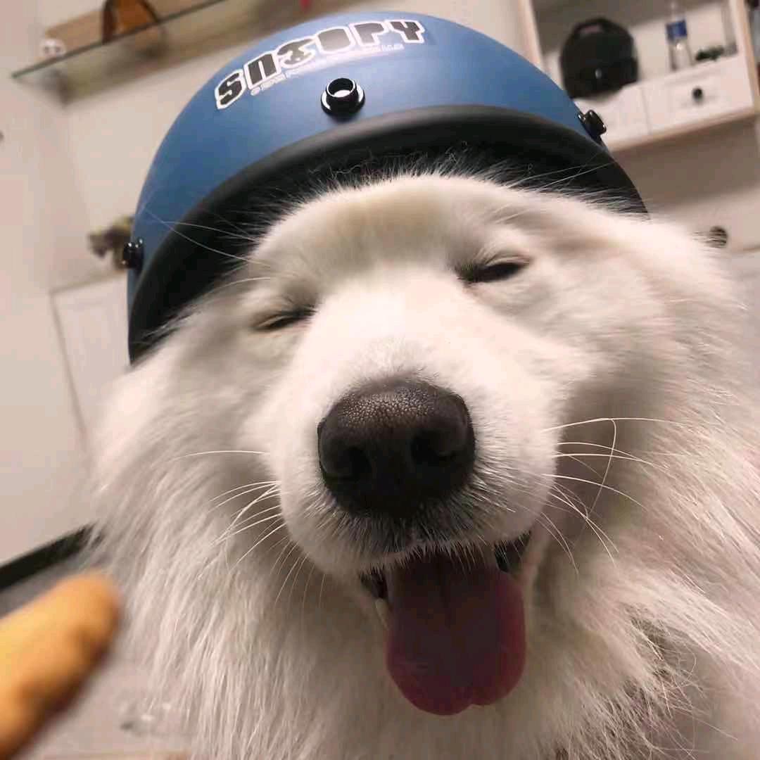一天就耍怪