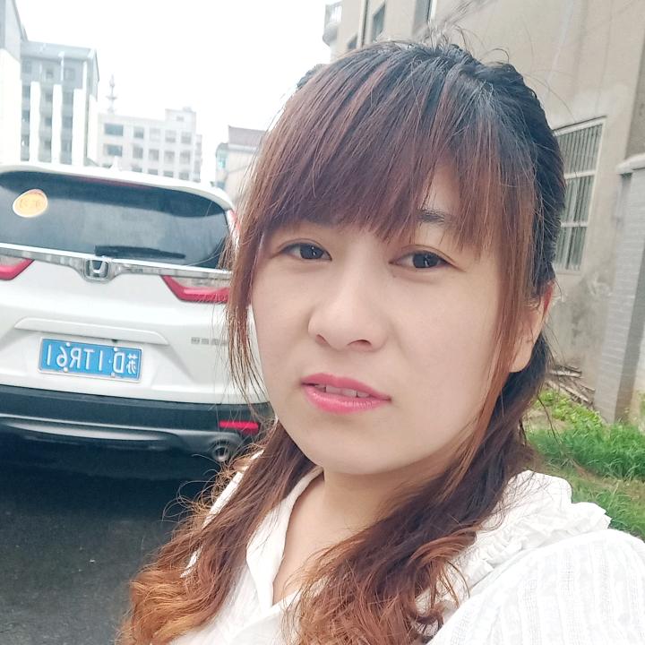 龙侠莉汽车侧脚踏板
