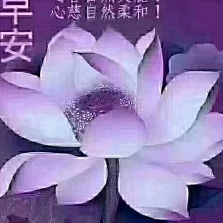 兰州中心二楼瑞贝卡假发