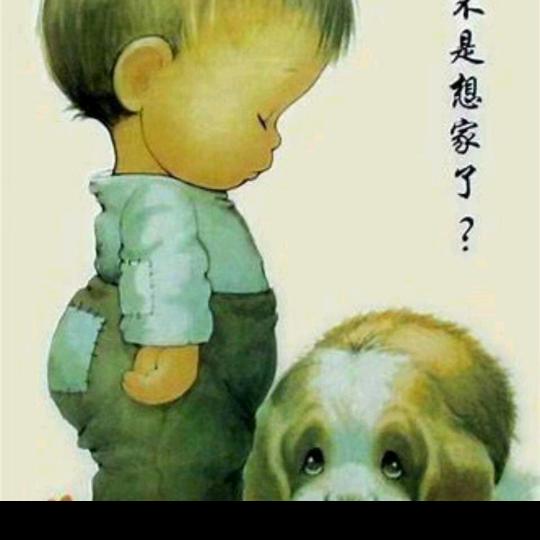 🌹阳光灿烂🌴