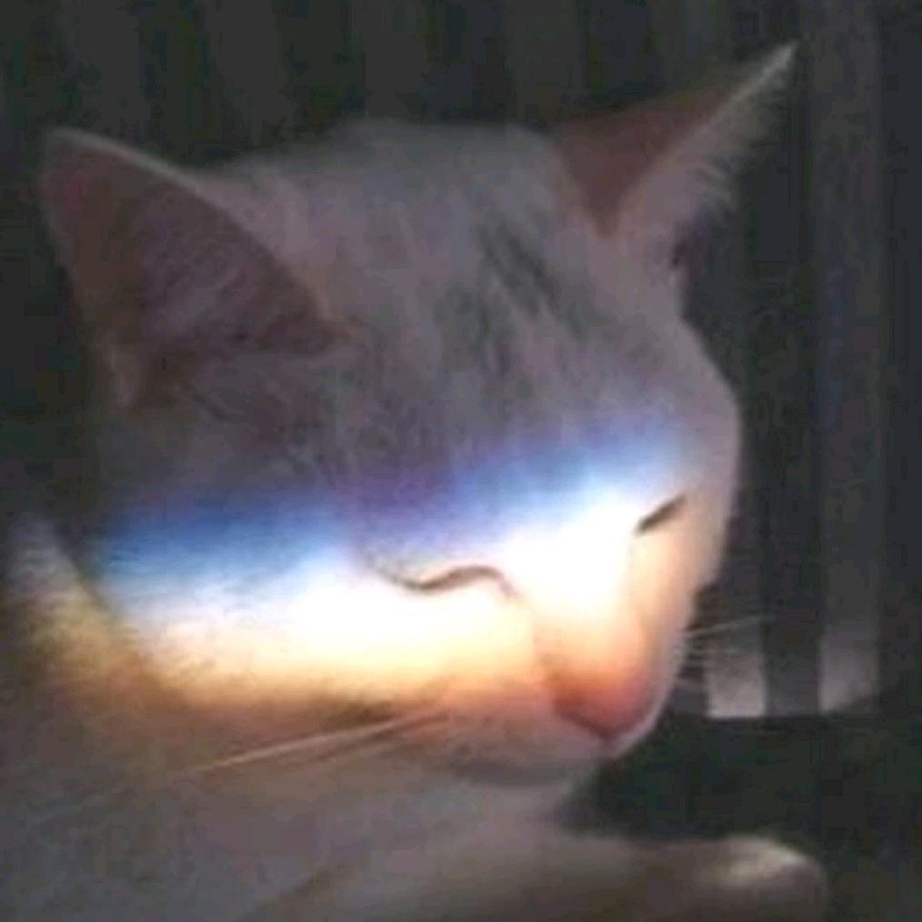 归鸟