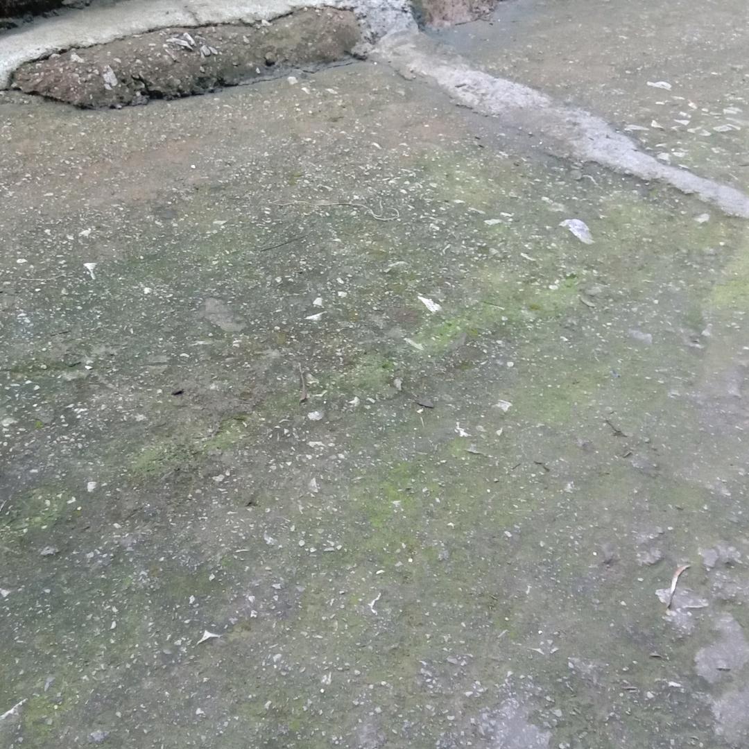 田去1