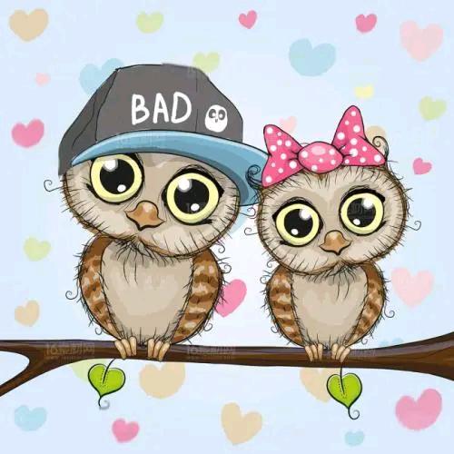 佳慧姐妹师菇娘萌子