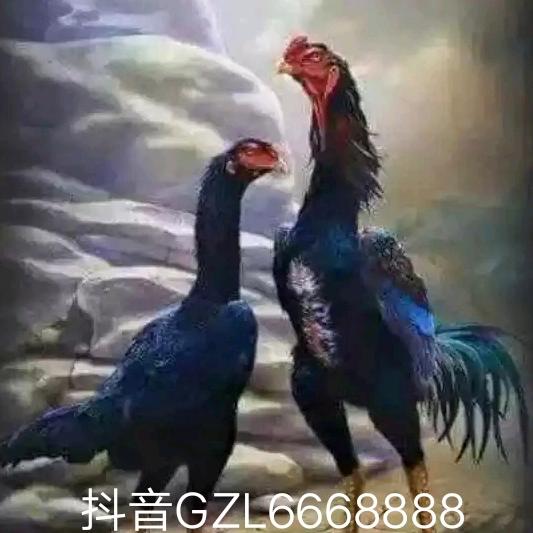 知足常乐