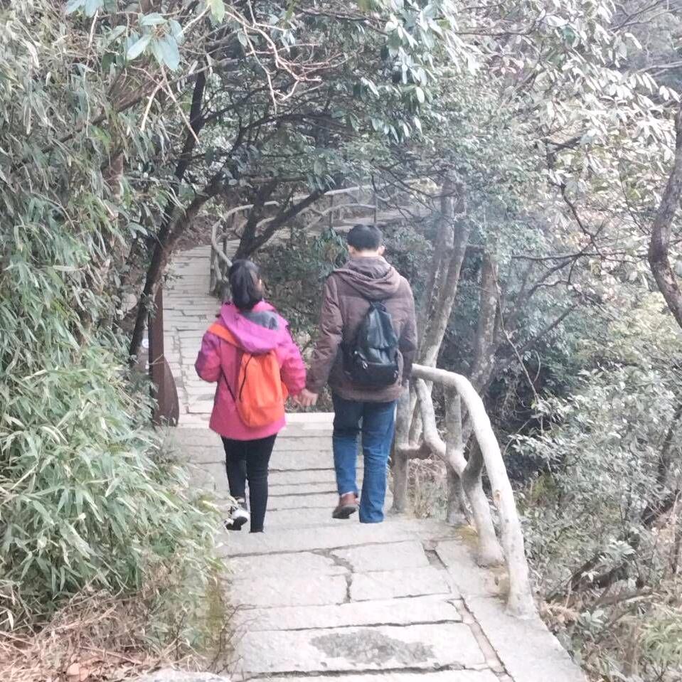 团结