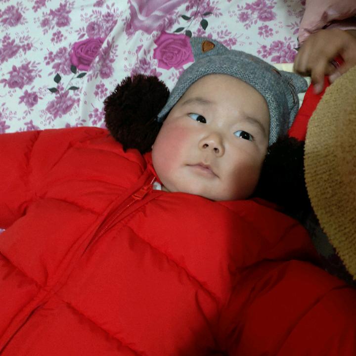 云侠