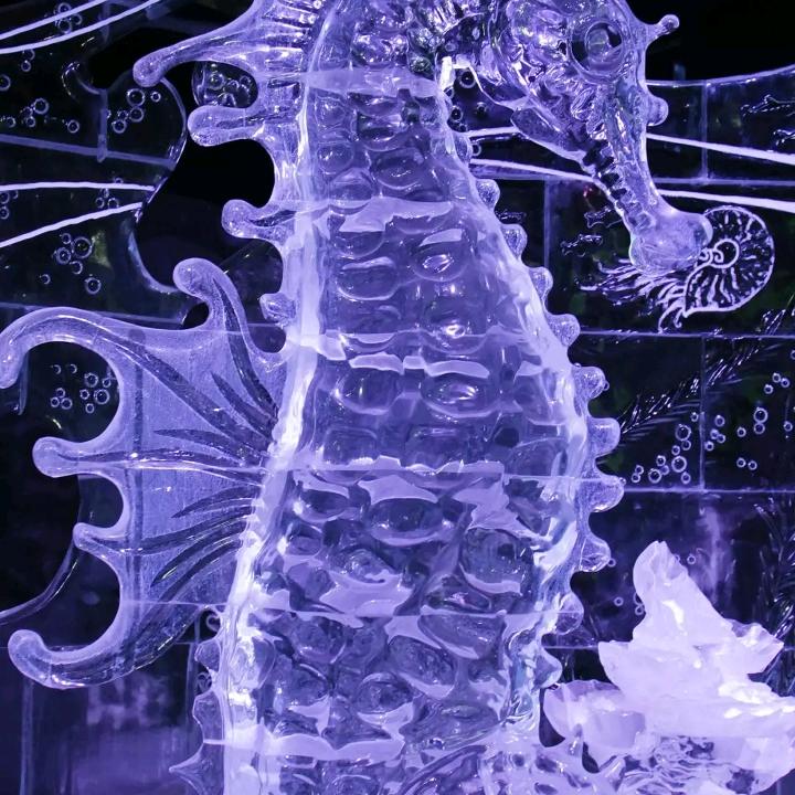 请叫我修车哥