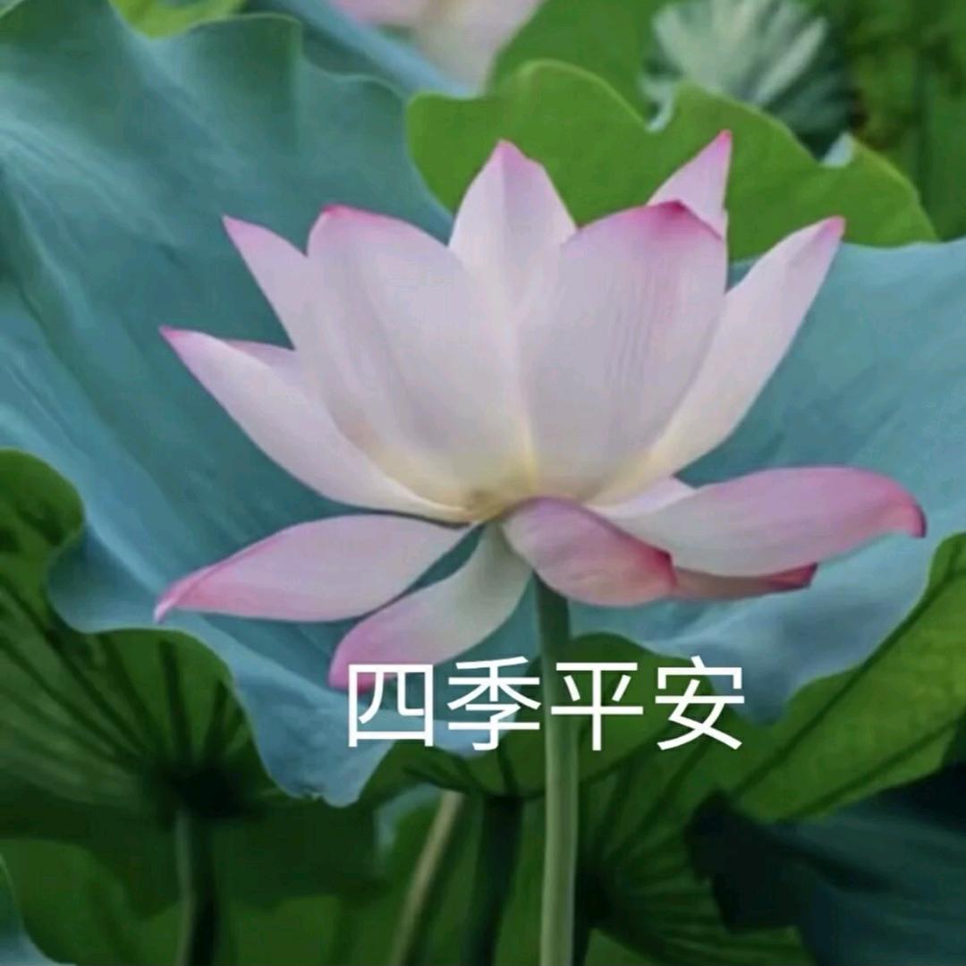 小花