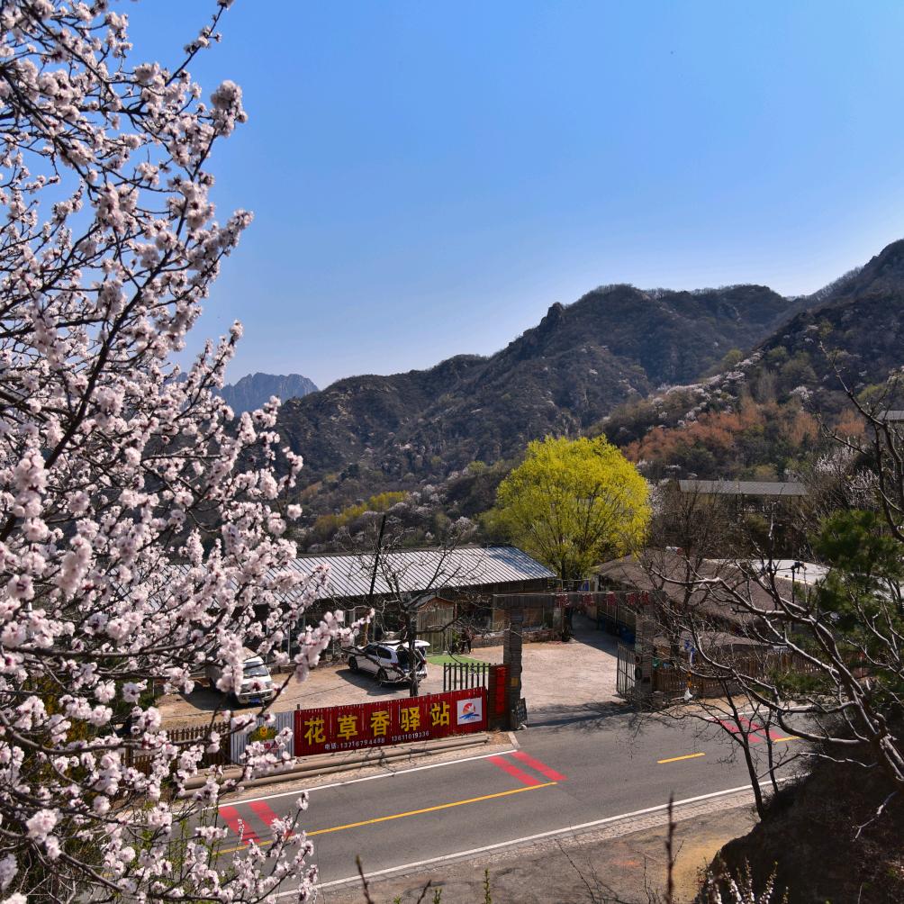 花草香驿站官方号