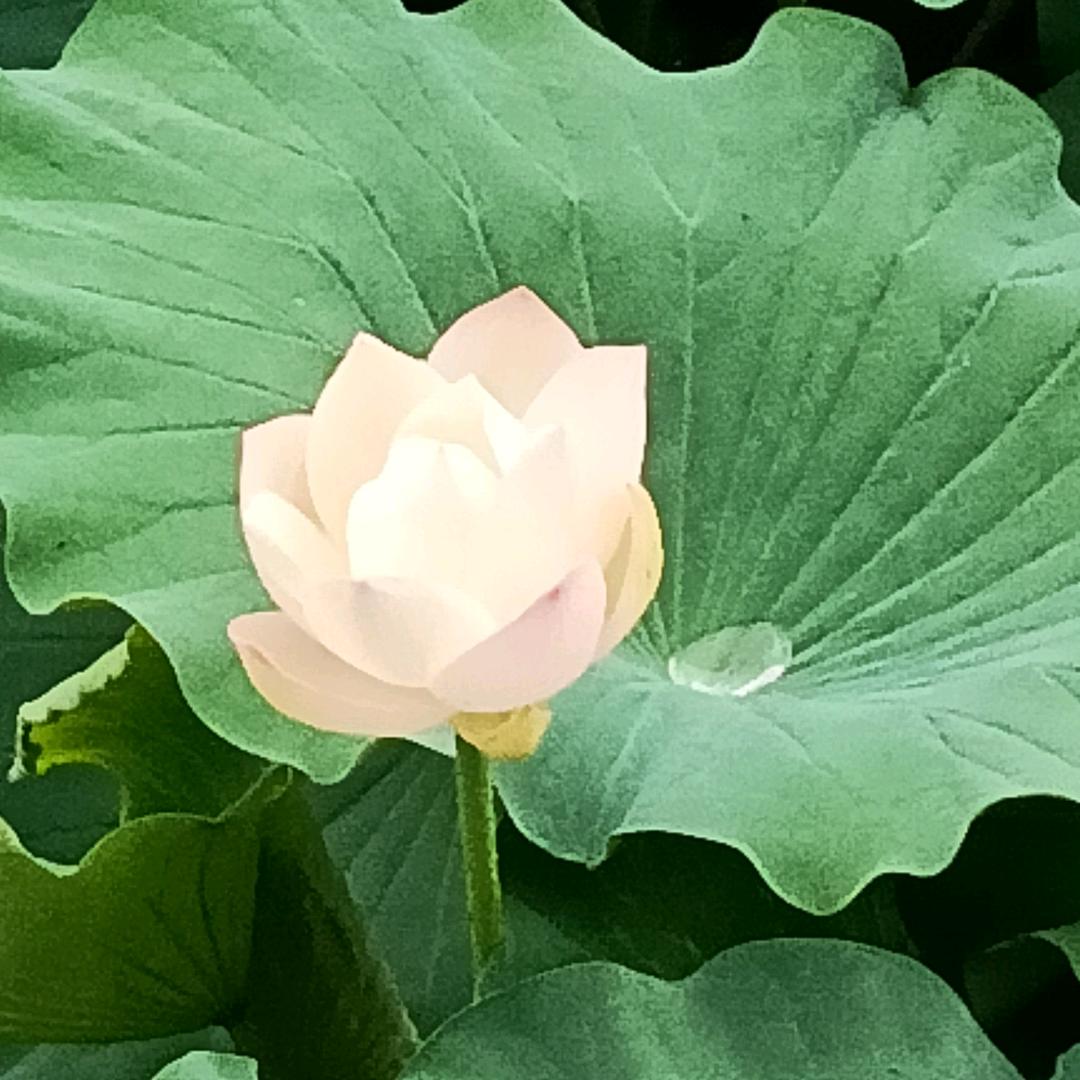 真诚对人