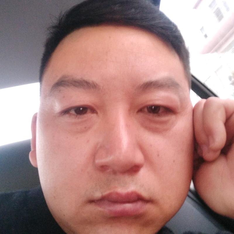 .白鸽。