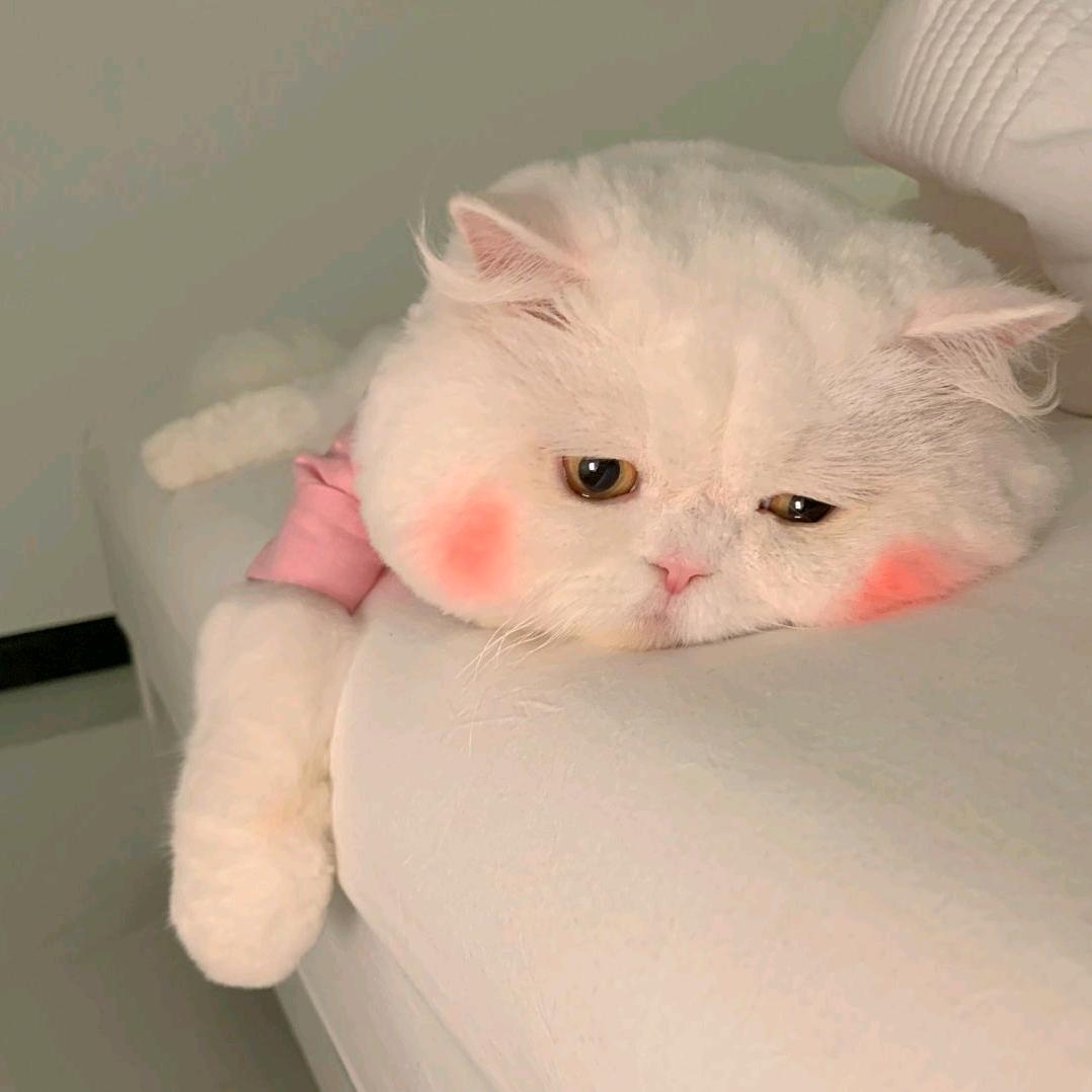 哟哟