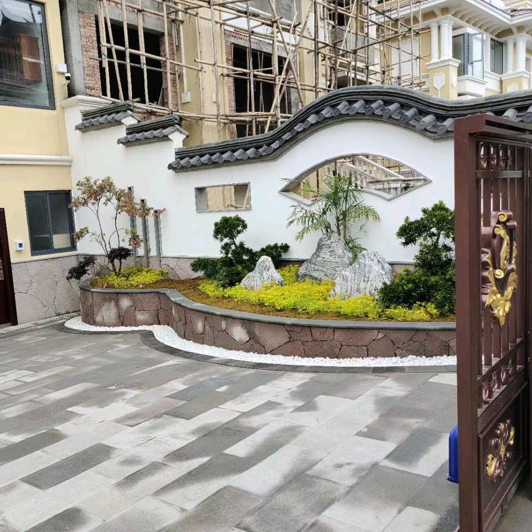 蝼蚁