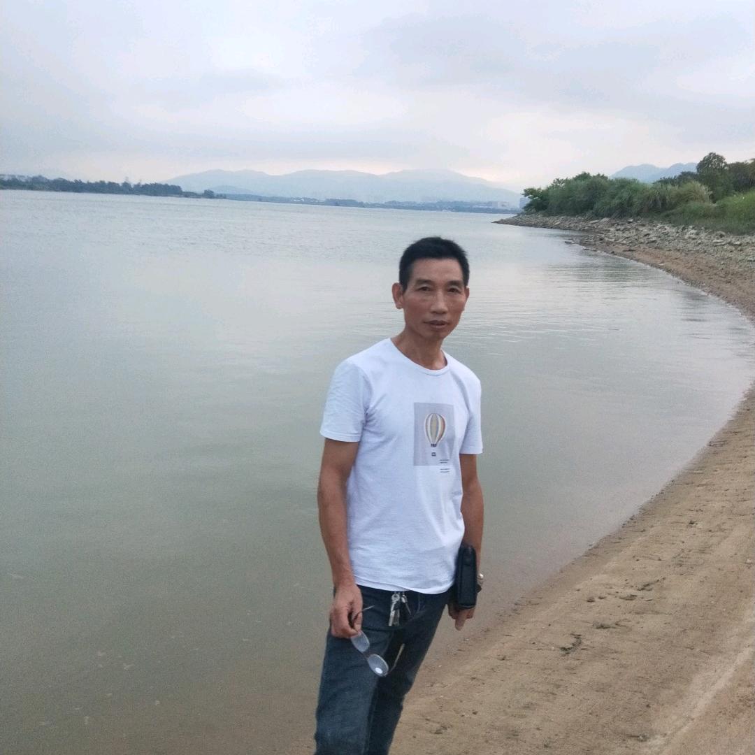 杨中儿