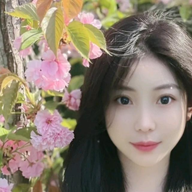 琴