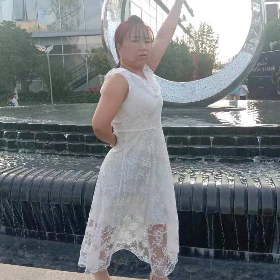 单只蝴蝶