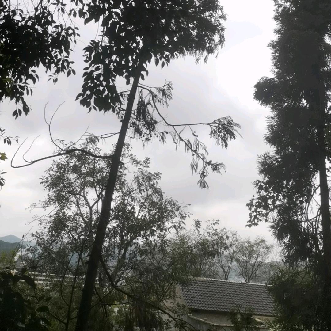 专业生产销售混凝土外加剂