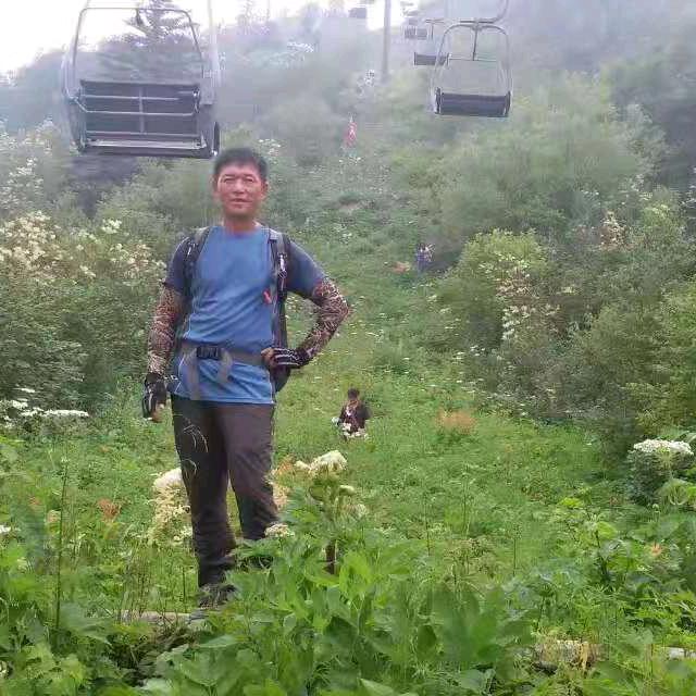 走走道疯了