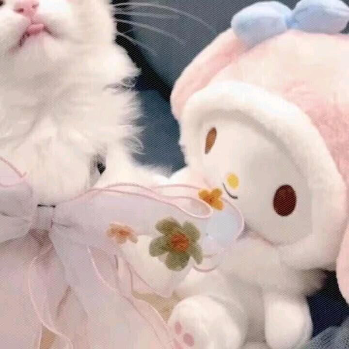 奕曦