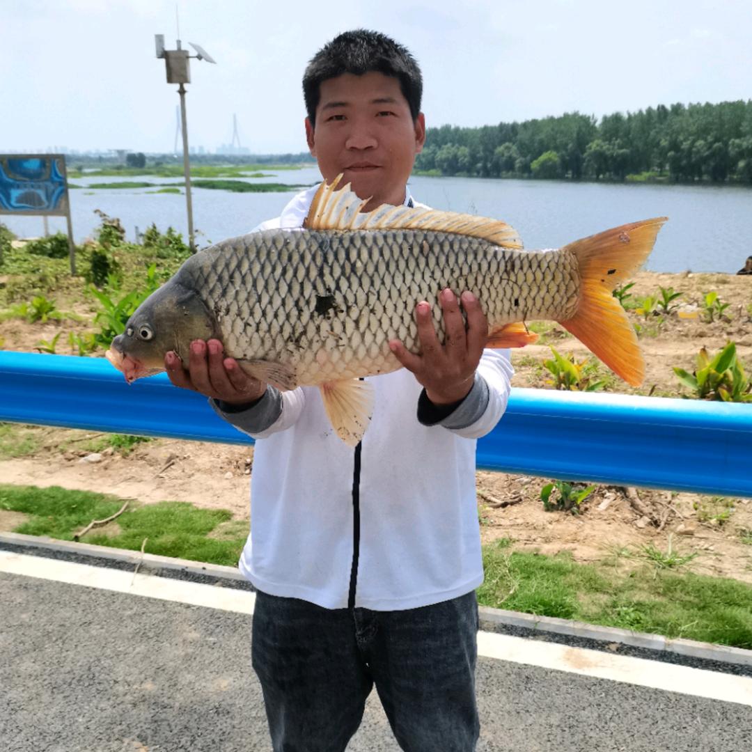 小辉乐钓