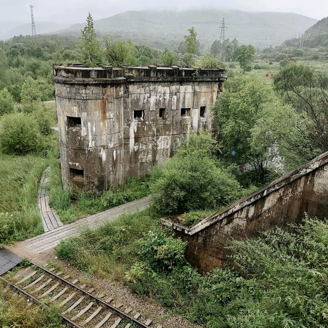 老张的旅行