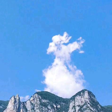 私奔到月球