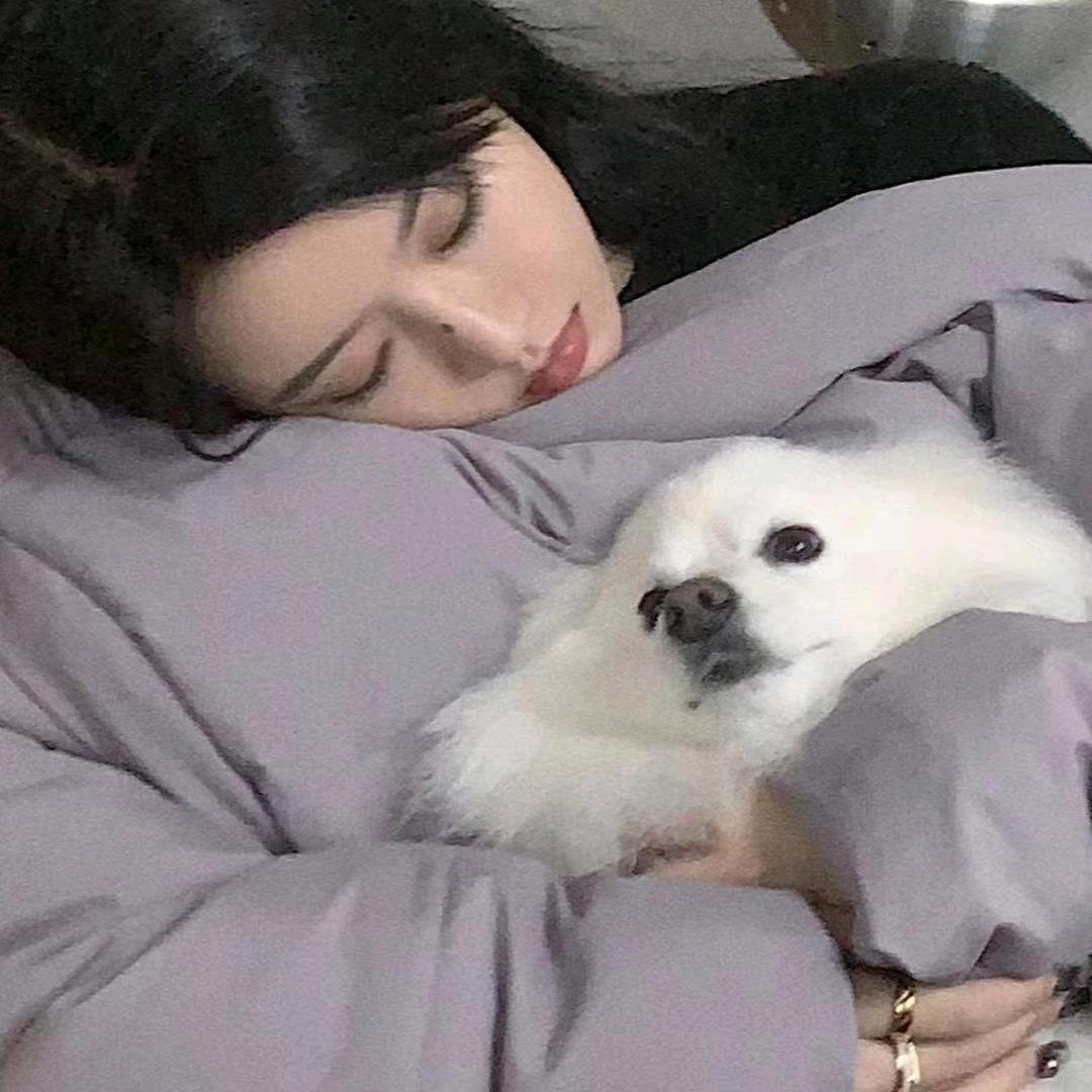 睡美人的小仙女