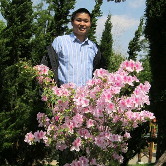 德玛阿哥