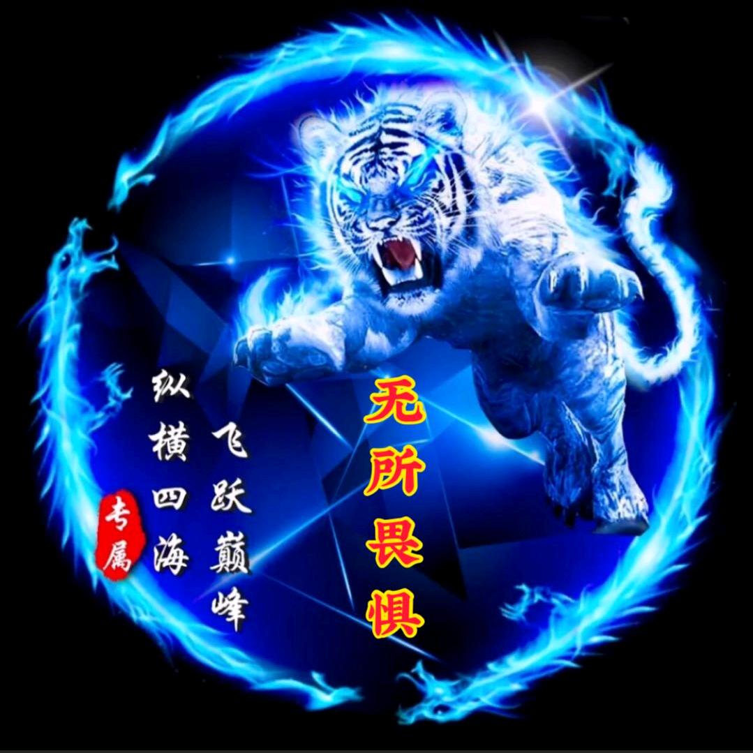 无所畏惧(´இ皿இ｀)