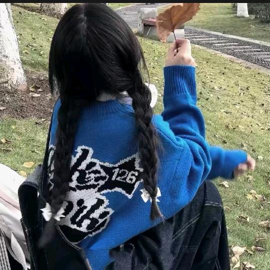A鹏程万里