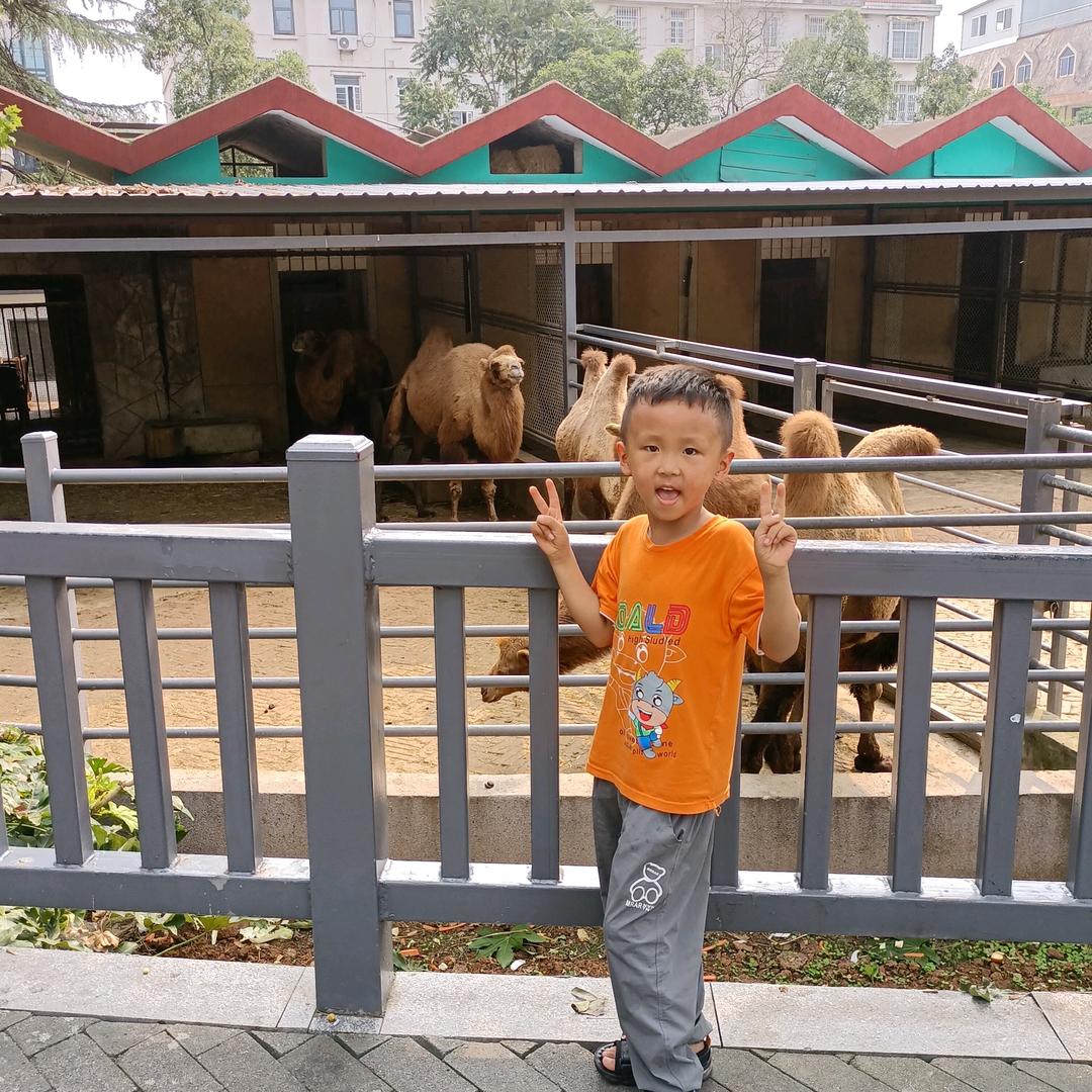 指尖时光