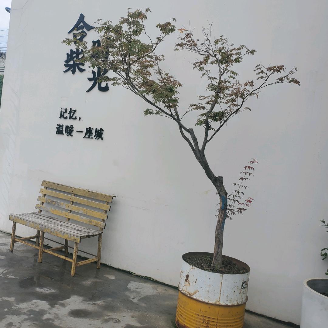 明人不说暗话
