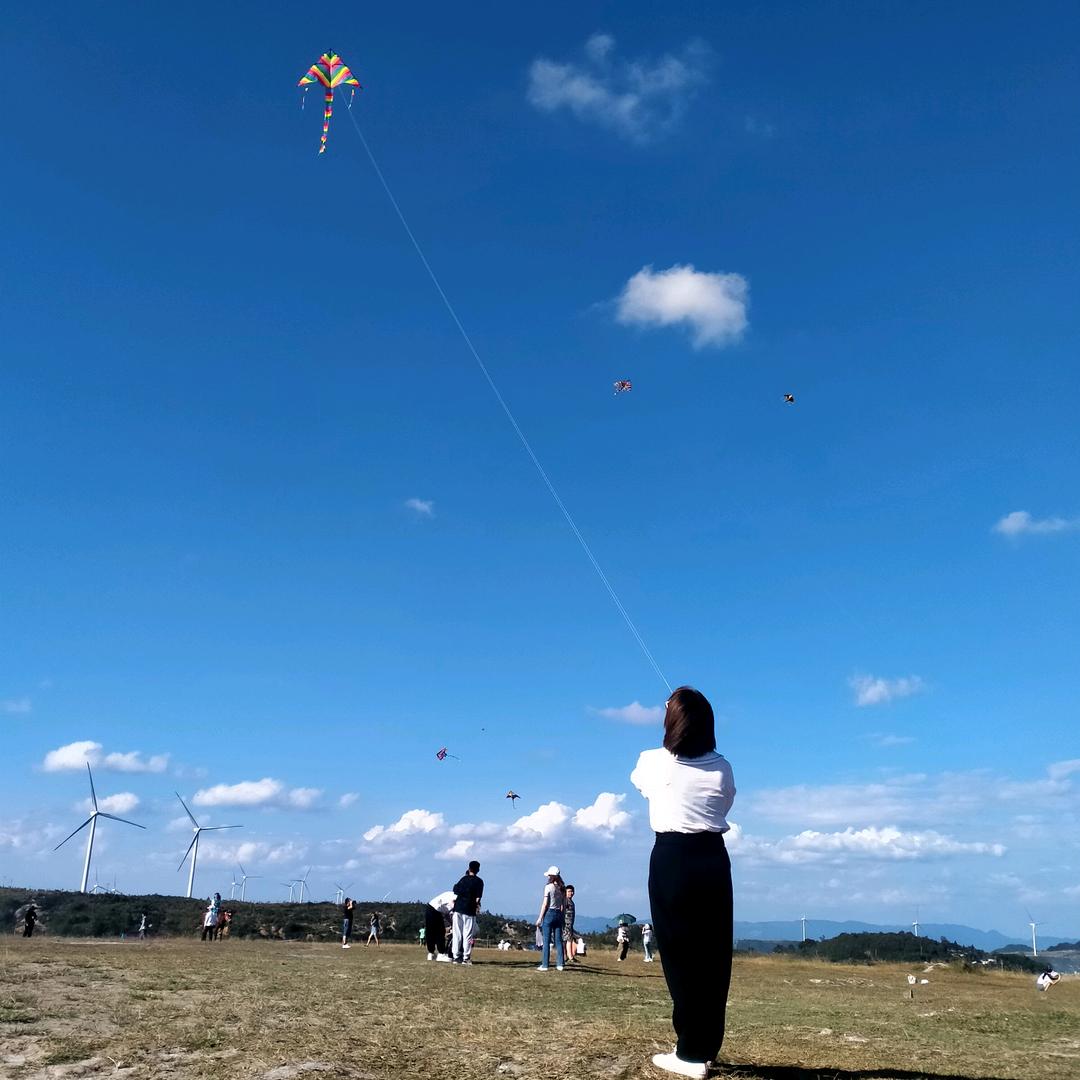 养一只德龍🚚🇨🇳