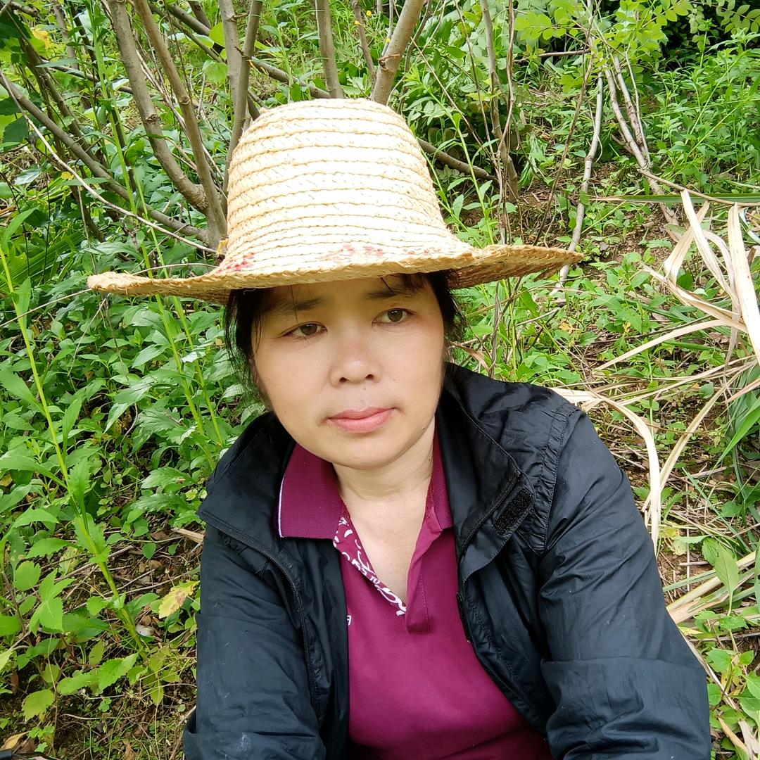 禅语，佛系