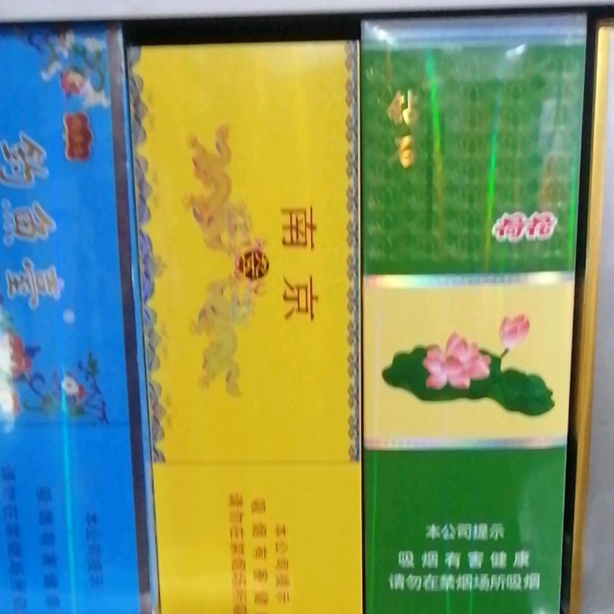 招远杜哥