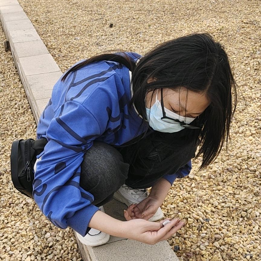 兔兔小狐狸